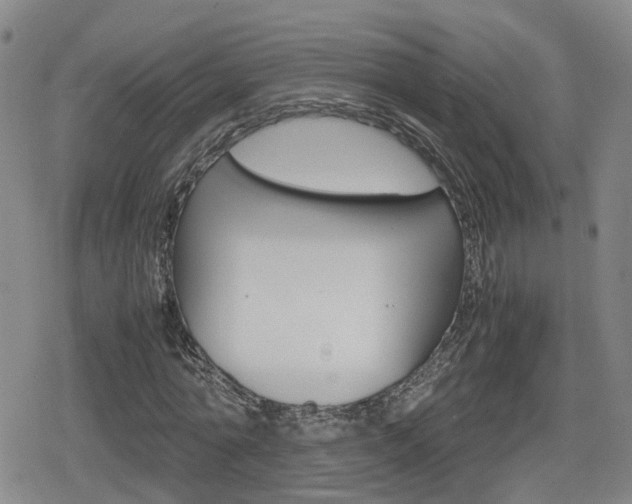 X0000080120774200612080930
