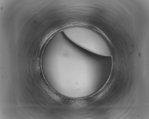 X0000080120786200612080930