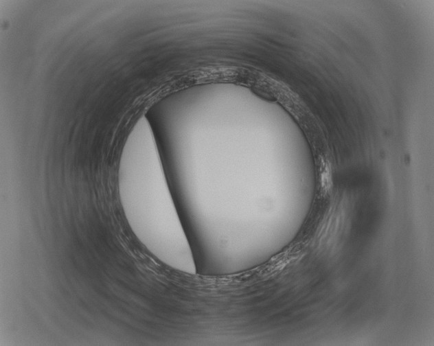 X0000080120819200612080928