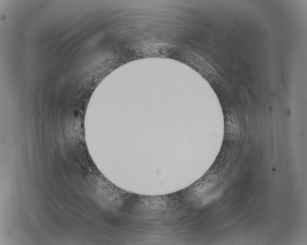 X0000080120820200612080929
