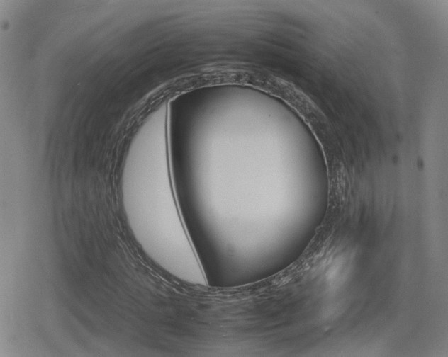 X0000080120821200612080929