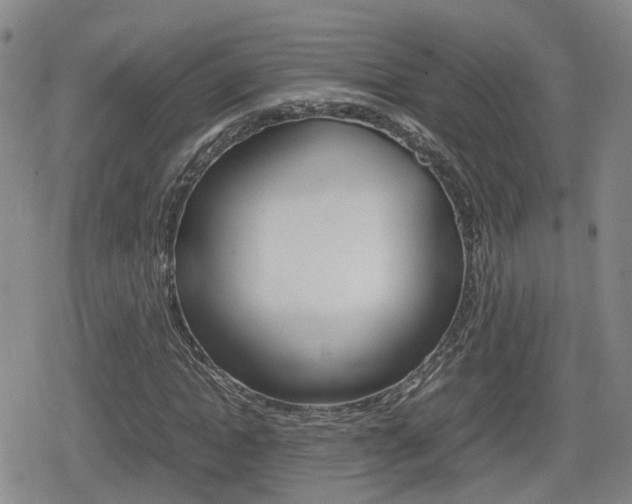 X0000080120822200612080929