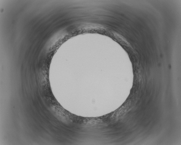 X0000080120824200612080929