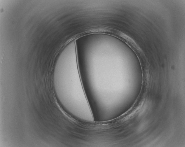 X0000080120841200612080929