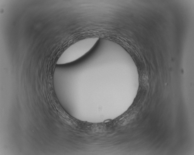 X0000080120865200612080928