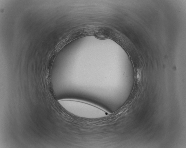 X0000080120867200612080928