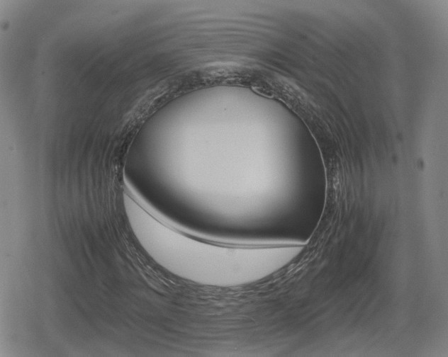 X0000080120868200612080928