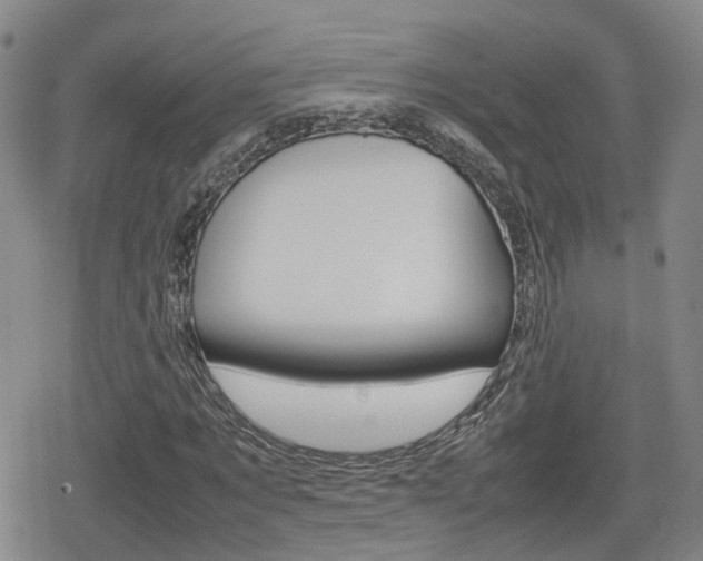 X0000080120869200612080928