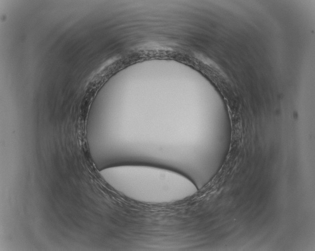 X0000080120870200612080928