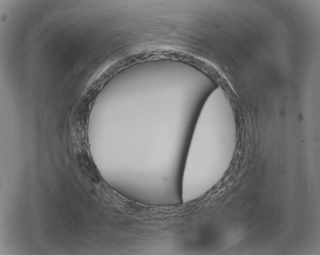X0000080120871200612080928