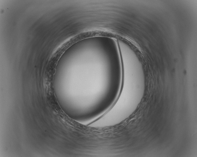 X0000080120872200612080928
