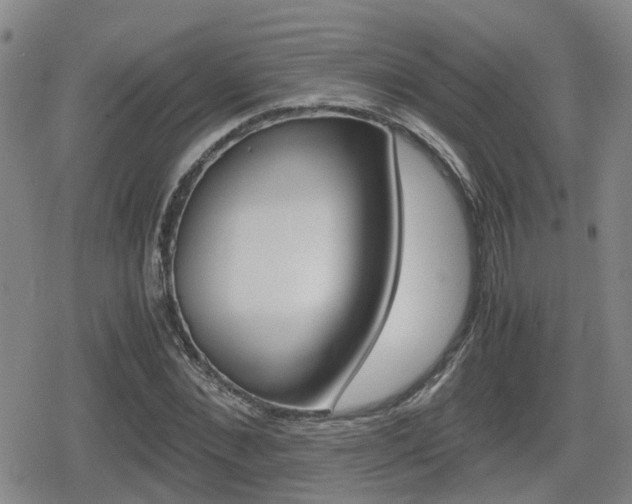 X0000080120876200612080928