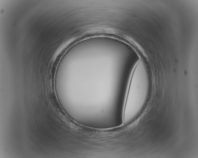 X0000080120877200612080928