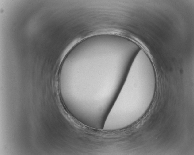 X0000080120907200612080928