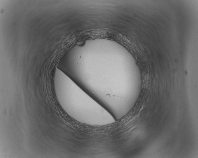X0000080120913200612080927