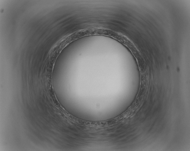 X0000080120919200612080927