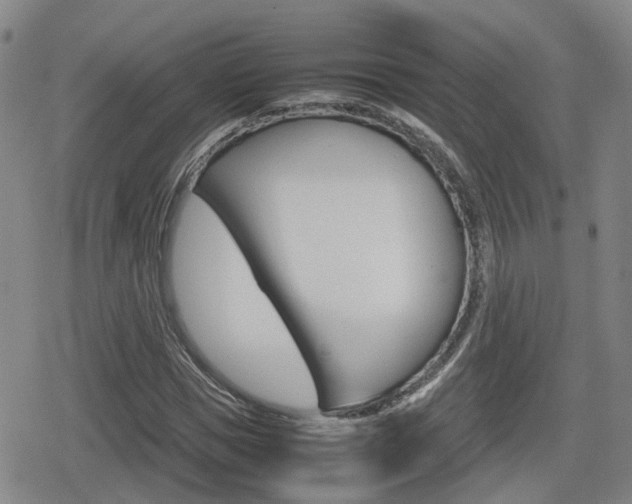 X0000080120921200612080927