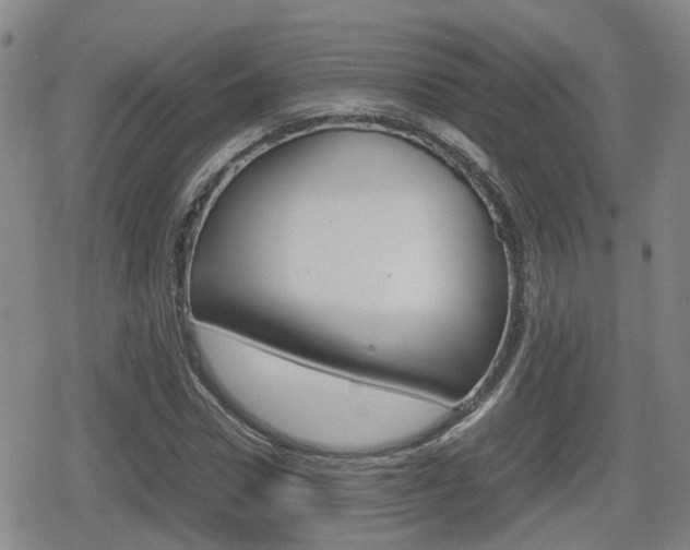 X0000080120922200612080927