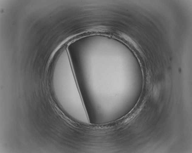 X0000080120923200612080927