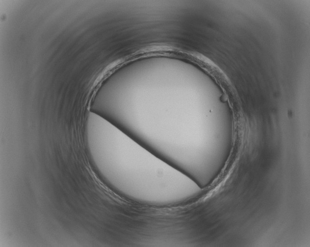 X0000080120929200612080927