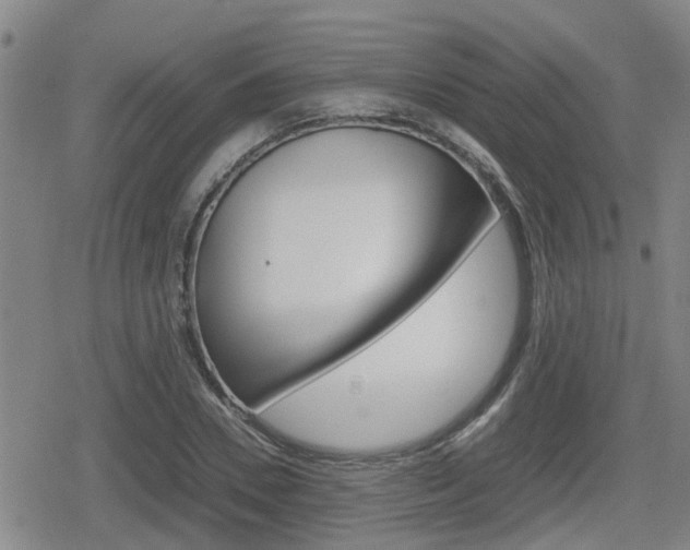 X0000080120930200612080927