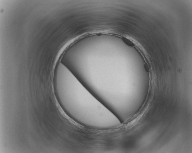 X0000080120941200612080927