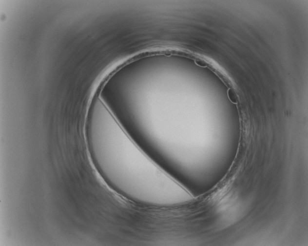 X0000080120943200612080927