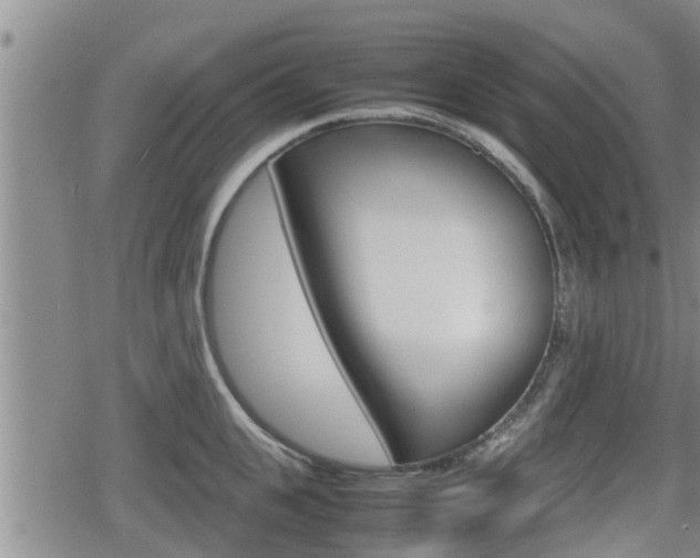 X0000080120951200612080928