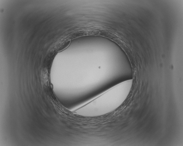 X0000080120963200612080927