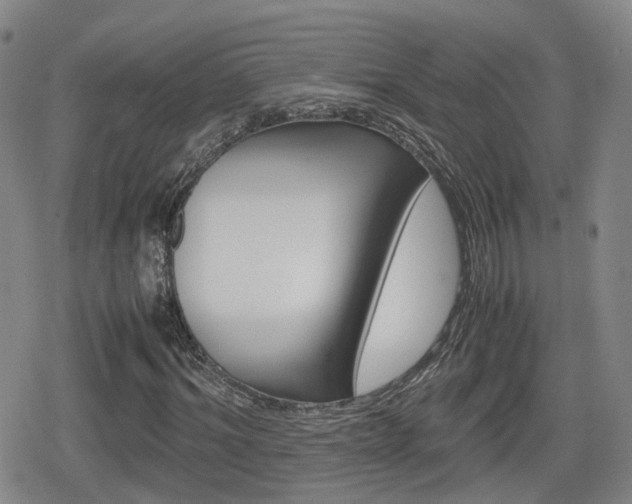 X0000080120964200612080927
