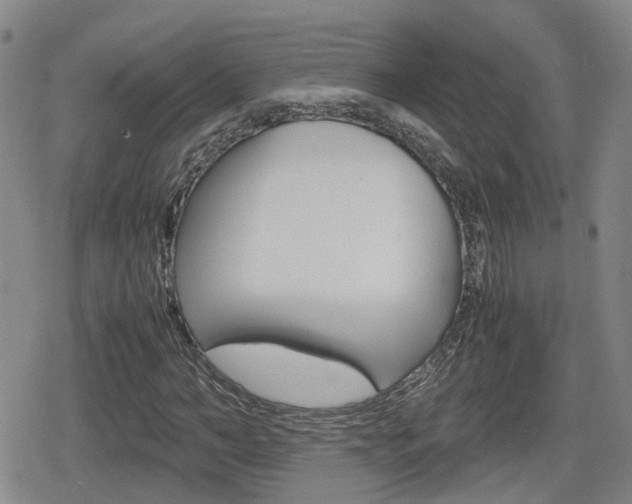 X0000080120966200612080927