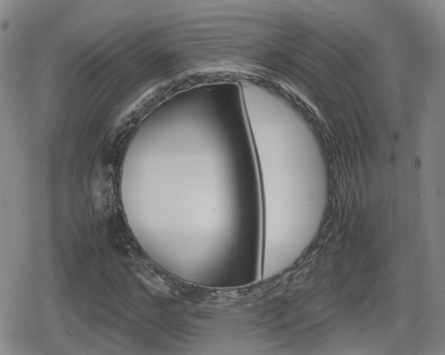 X0000080120968200612080927