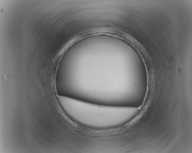 X0000080120985200612080926