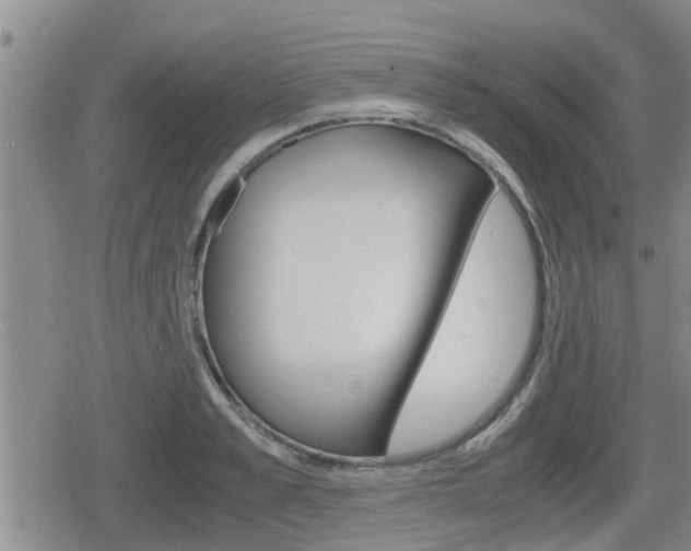 X0000080120989200612080926