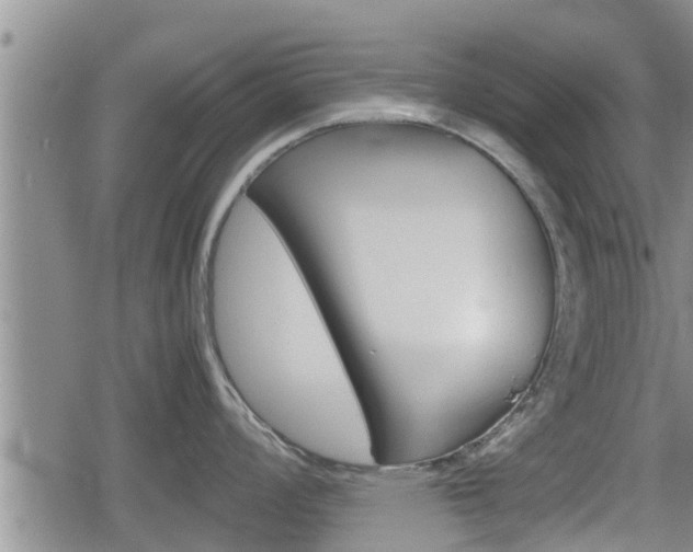 X0000080121008200612080926