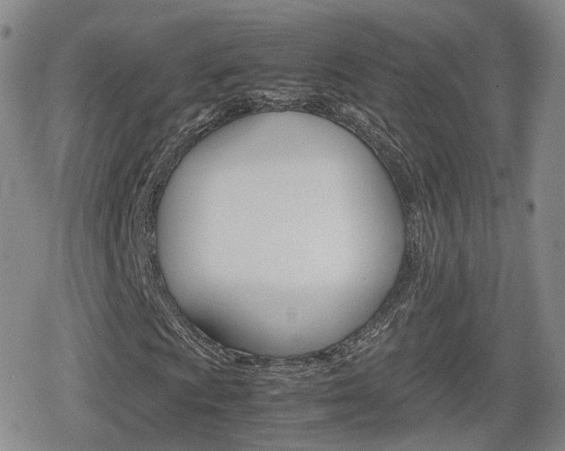 X0000080121009200612080925