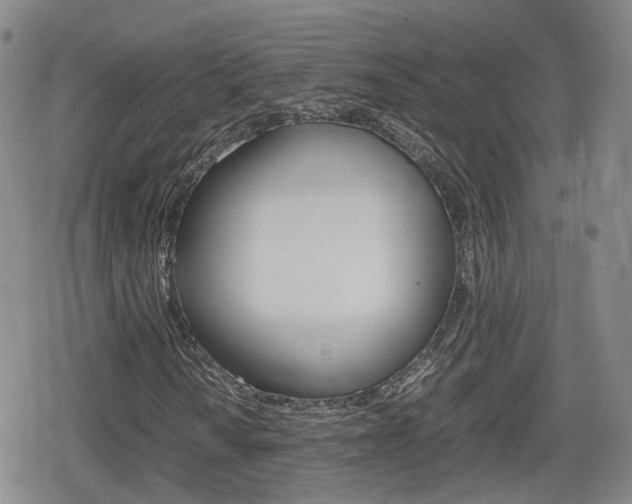 X0000080121010200612080925