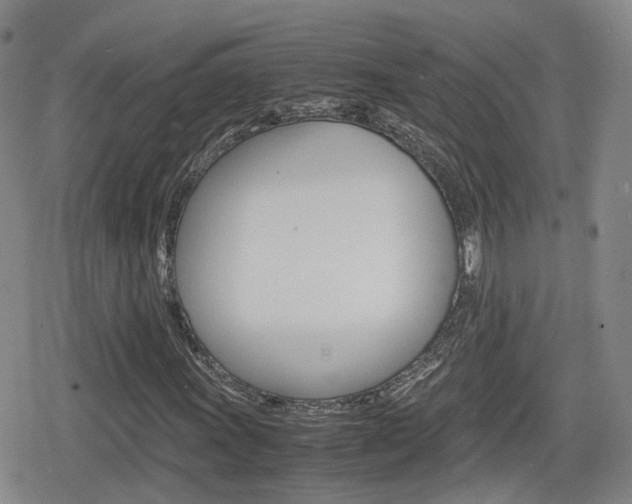 X0000080121011200612080925