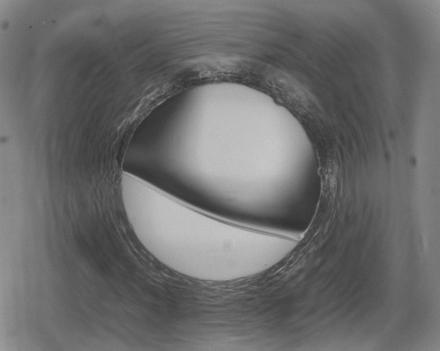 X0000080121012200612080925