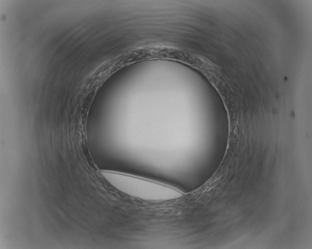 X0000080121014200612080925