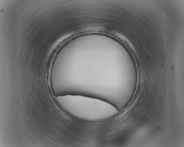 X0000080121019200612080925