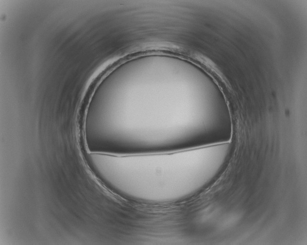 X0000080121024200612080926