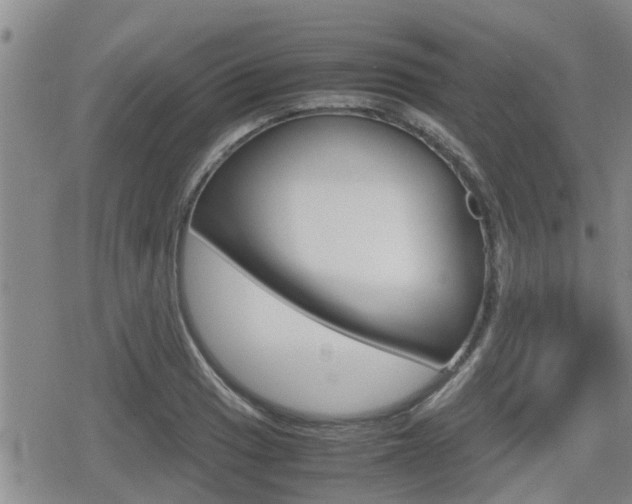 X0000080121033200612080926