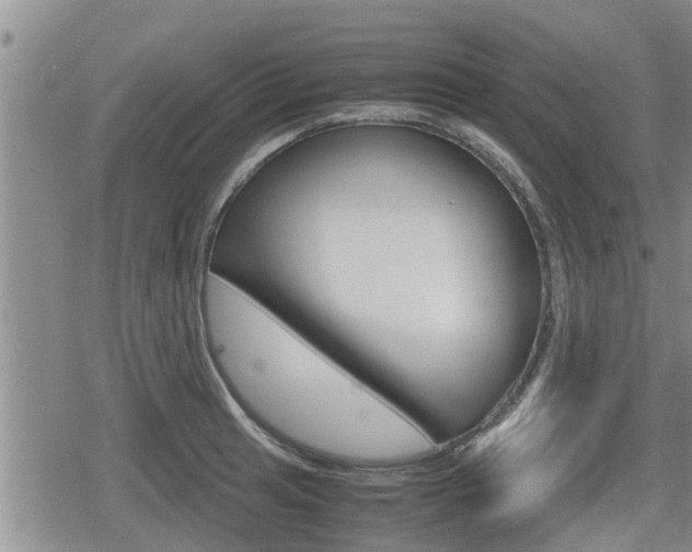 X0000080121041200612080926