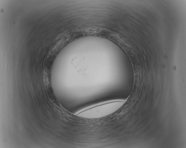 X0000080121058200612080925