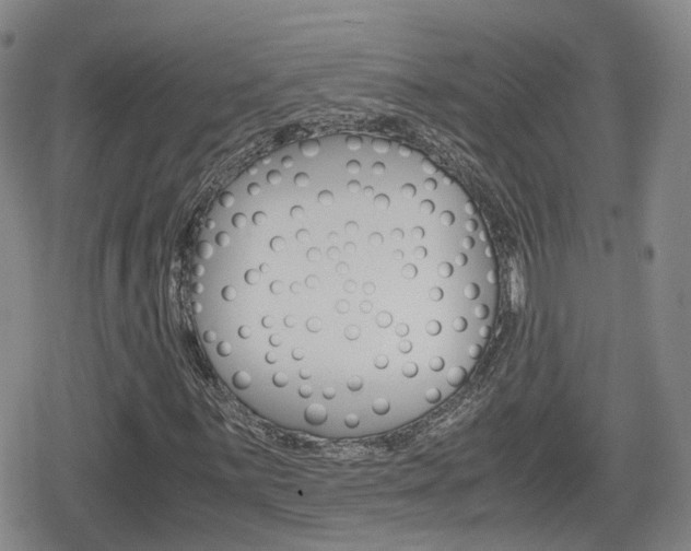 X0000080121059200612080925