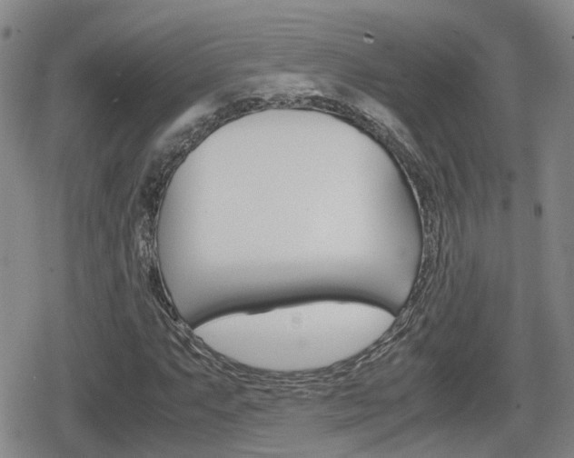 X0000080121063200612080925