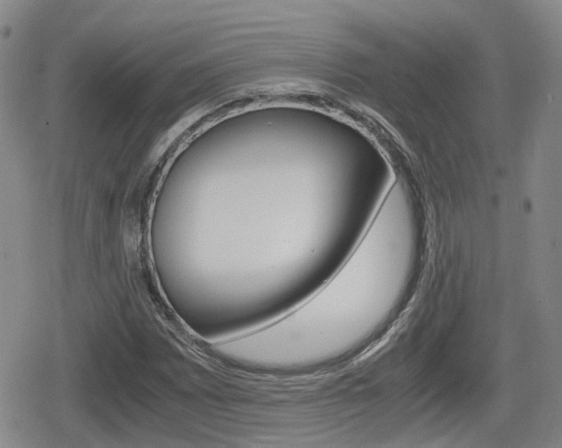 X0000080121065200612080925