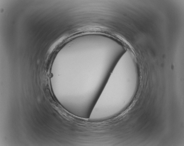 X0000080121067200612080925