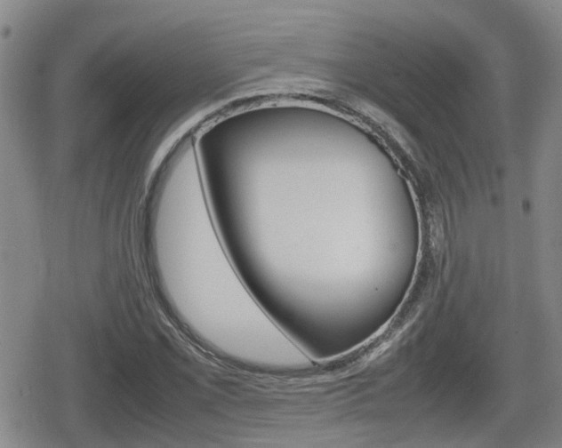 X0000080121069200612080925